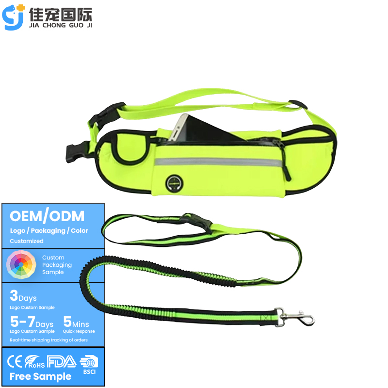 مقود ركض الكلب