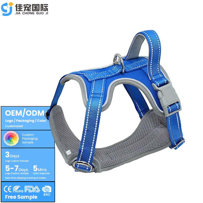 حزام الحيوانات الأليفة