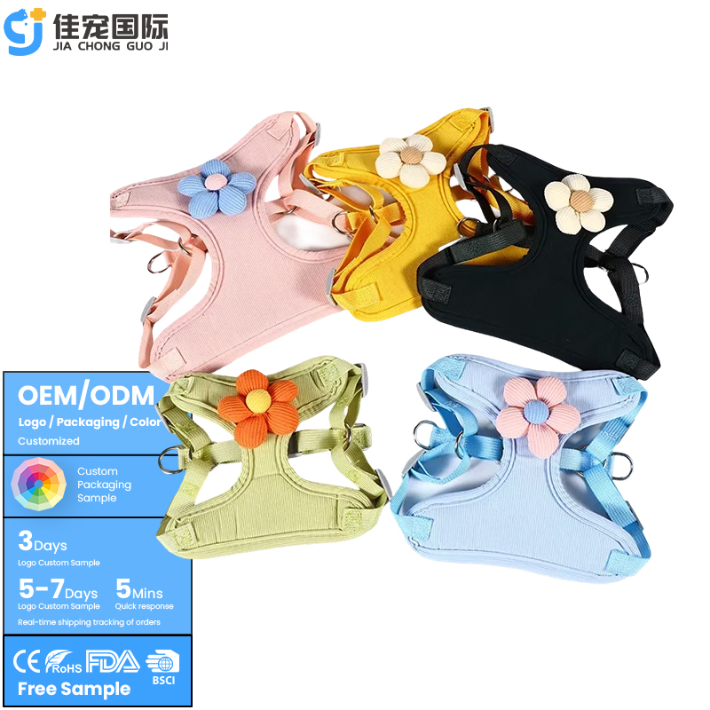 مجموعة أحزمة الحيوانات الأليفة